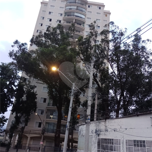 Foto REO908416