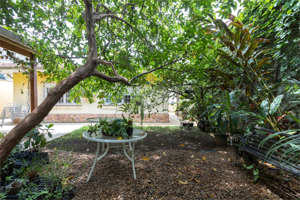 Venda Casa térrea São Paulo Butantã REO908610 3