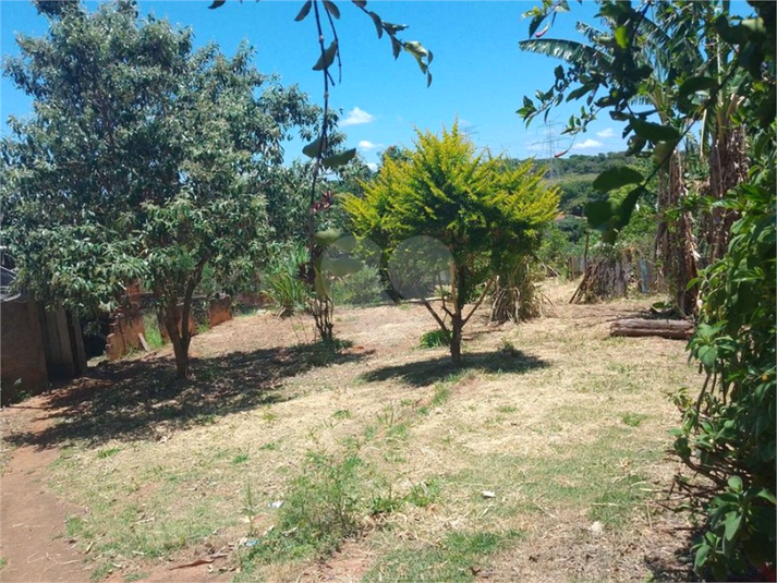 Foto REO908631