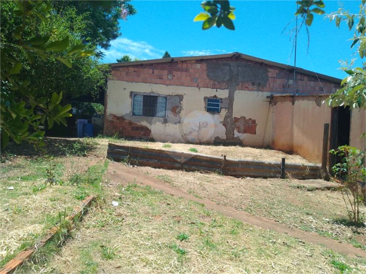 Foto REO908631