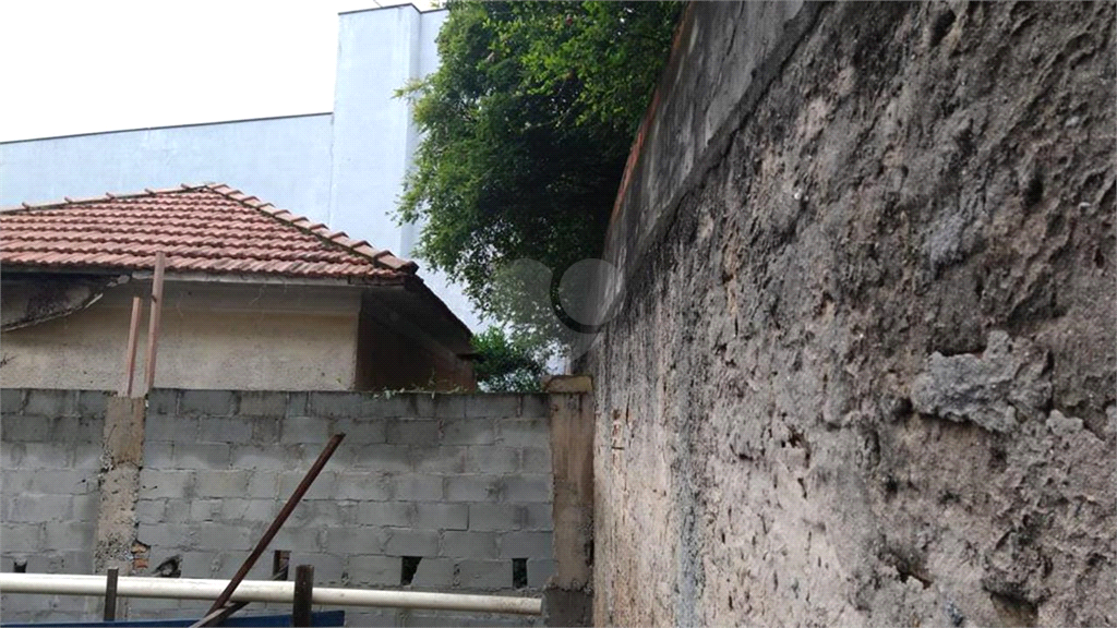 Venda Terreno São Paulo Vila Celeste REO908684 4