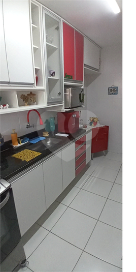 Foto REO908738