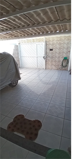 Foto REO908738
