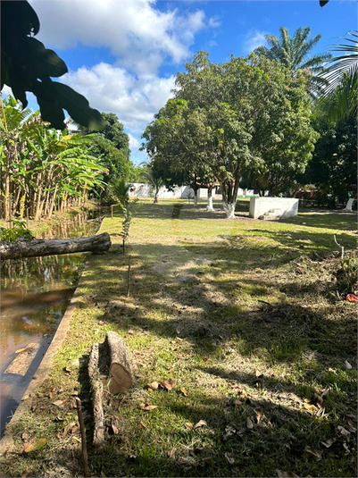 Venda Chácara Salvador Jardim Das Margaridas REO908799 14