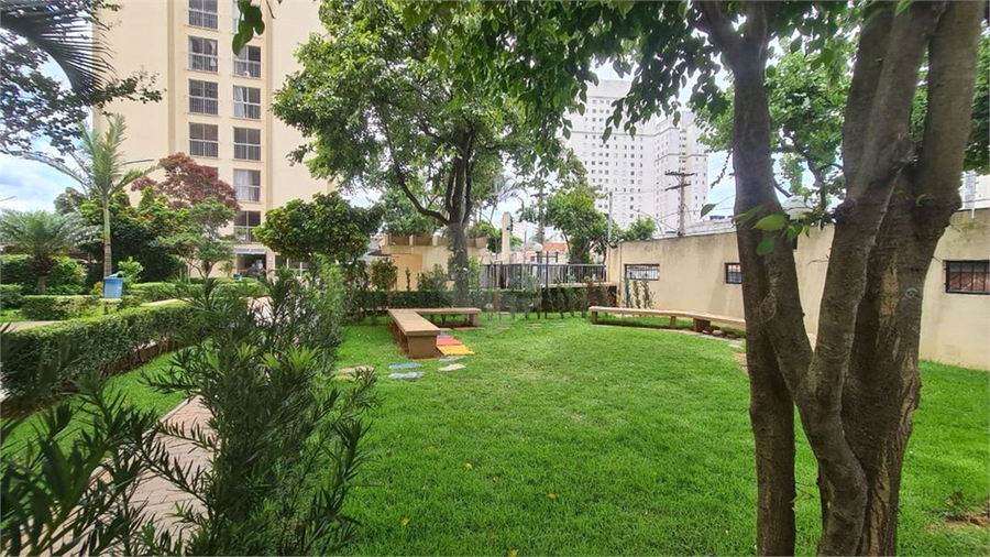 Venda Apartamento São Paulo Vila Antonieta REO909052 23