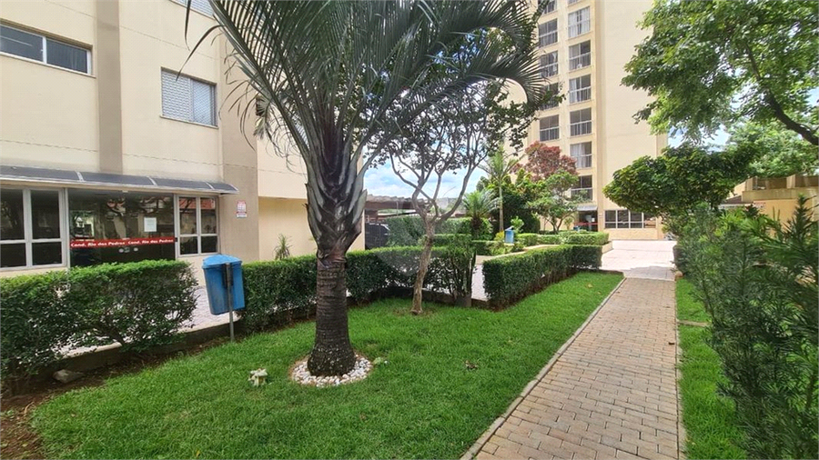 Venda Apartamento São Paulo Vila Antonieta REO909052 26