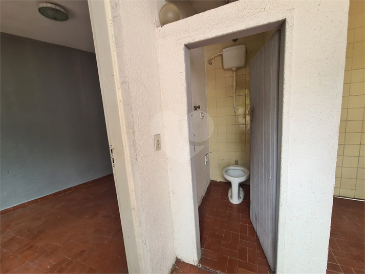 Foto REO909431