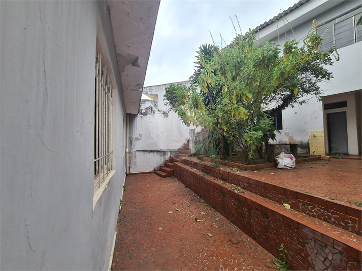 Foto REO909431