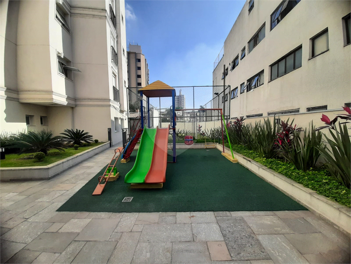 Foto REO909442