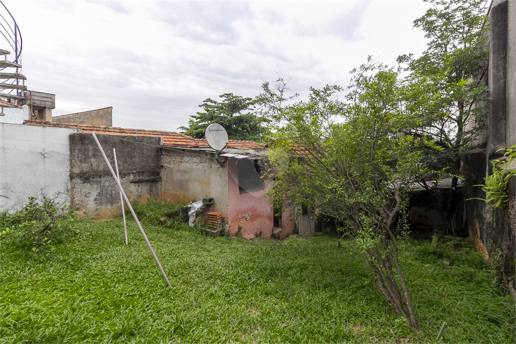 Venda Casa São Paulo Vila Baruel REO909723 5