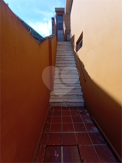 Foto REO909977