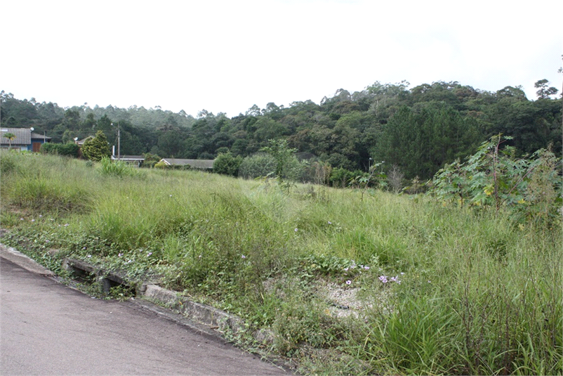 Venda Loteamento Jundiaí Chácara Terra Nova REO910102 24