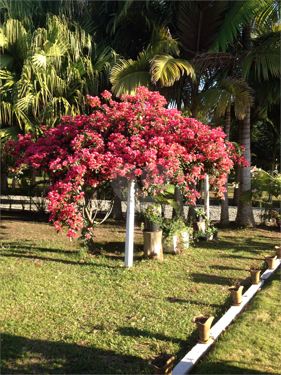 Venda Sítio Penha Balneário Da Penha REO910539 5