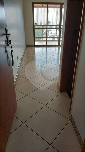 Foto REO910558