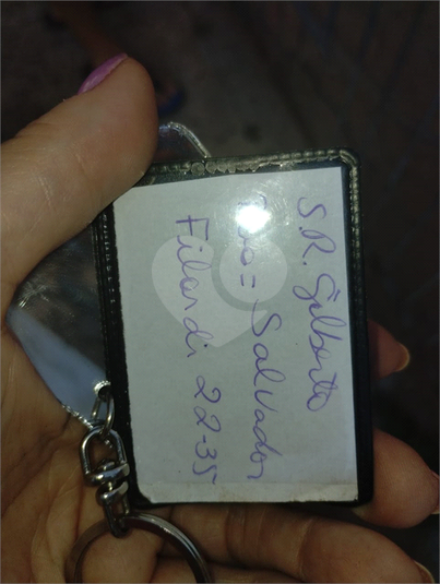 Foto REO910570