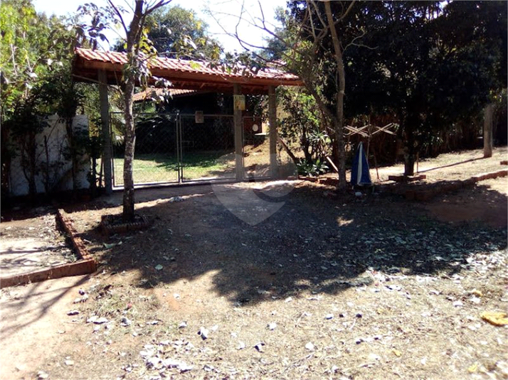 Foto REO911268
