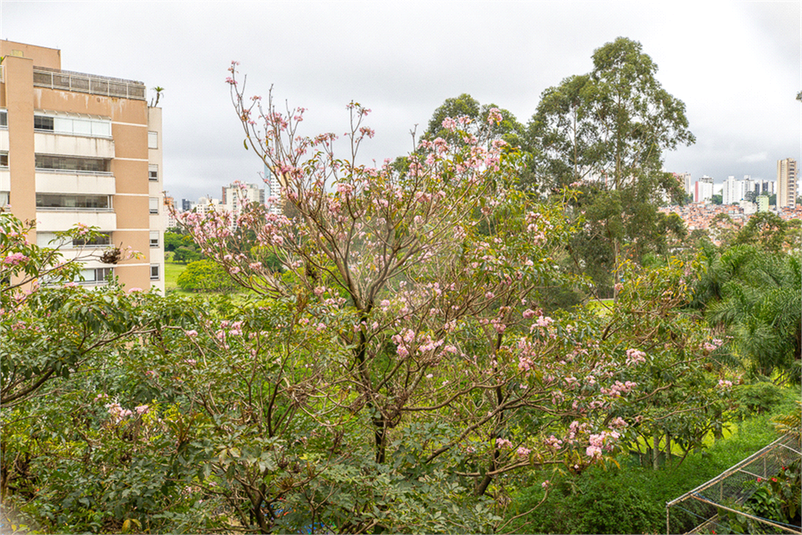 Venda Apartamento São Paulo Paraíso Do Morumbi REO911458 20