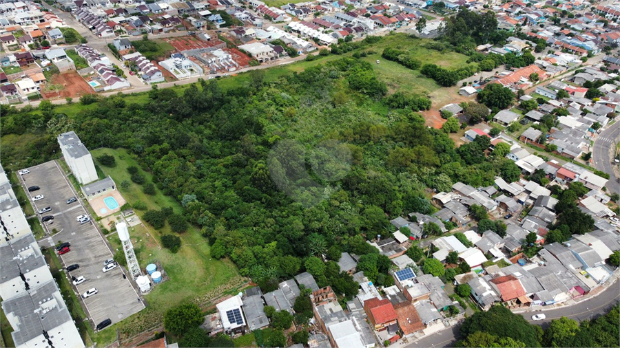 Venda Terreno Sapucaia Do Sul Vargas REO911521 6