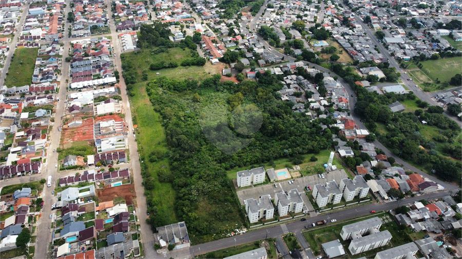 Venda Terreno Sapucaia Do Sul Vargas REO911521 3