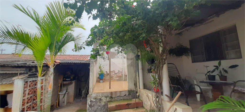 Venda Terreno Limeira Jardim Santa Cecília REO911524 14