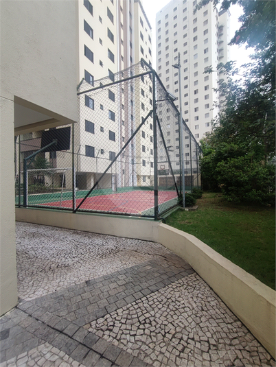 Aluguel Apartamento São Paulo Cambuci REO911769 7