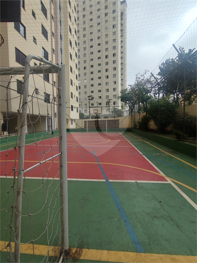 Aluguel Apartamento São Paulo Cambuci REO911769 5