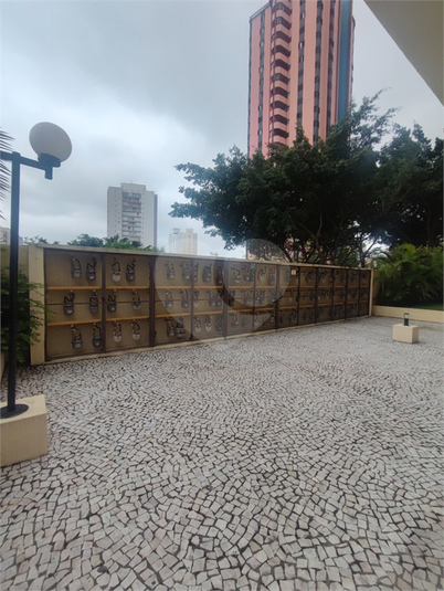 Aluguel Apartamento São Paulo Cambuci REO911769 8