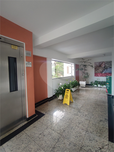 Aluguel Apartamento São Paulo Cambuci REO911769 11