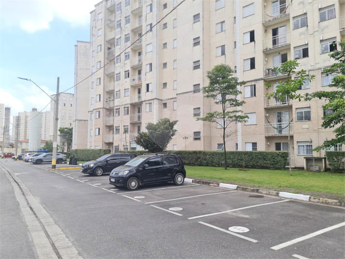 Foto REO911861