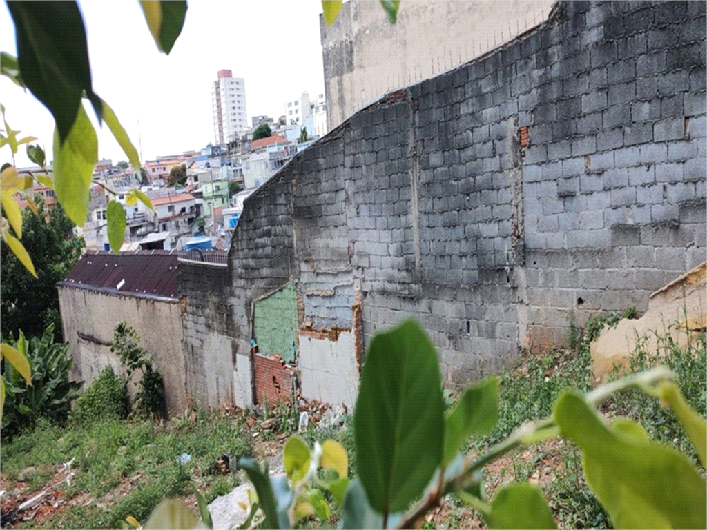 Venda Terreno São Paulo Vila Celeste REO911984 9