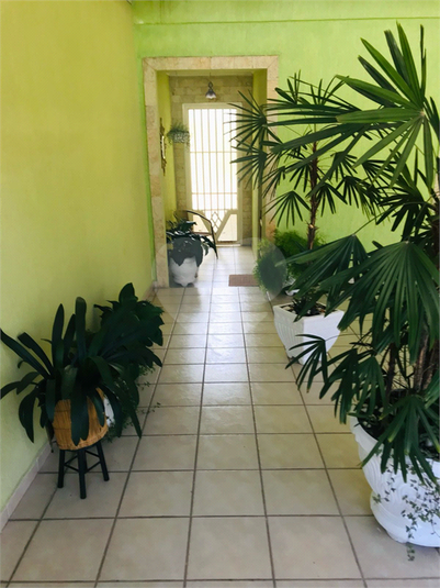 Foto REO912760