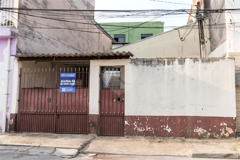 Foto REO913622