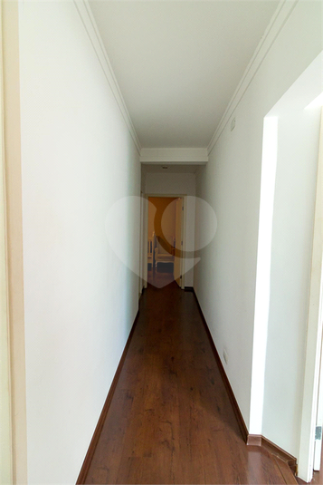 Foto REO913876