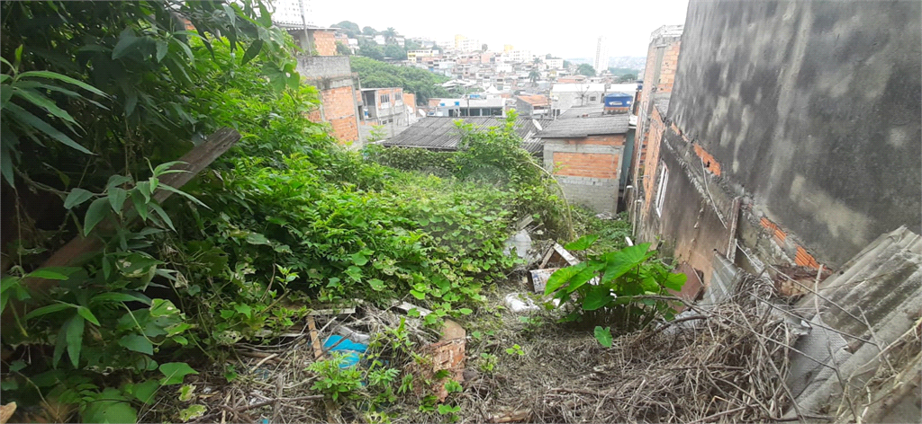 Venda Terreno São Paulo Parque Reboucas REO914137 16