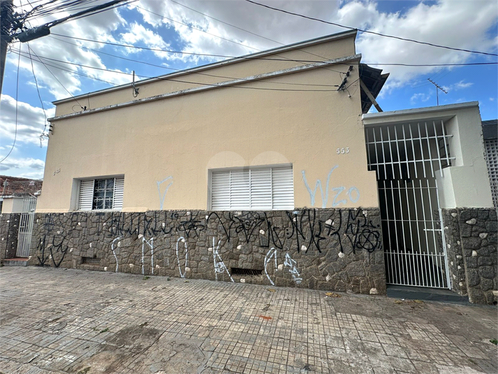 Foto REO914156