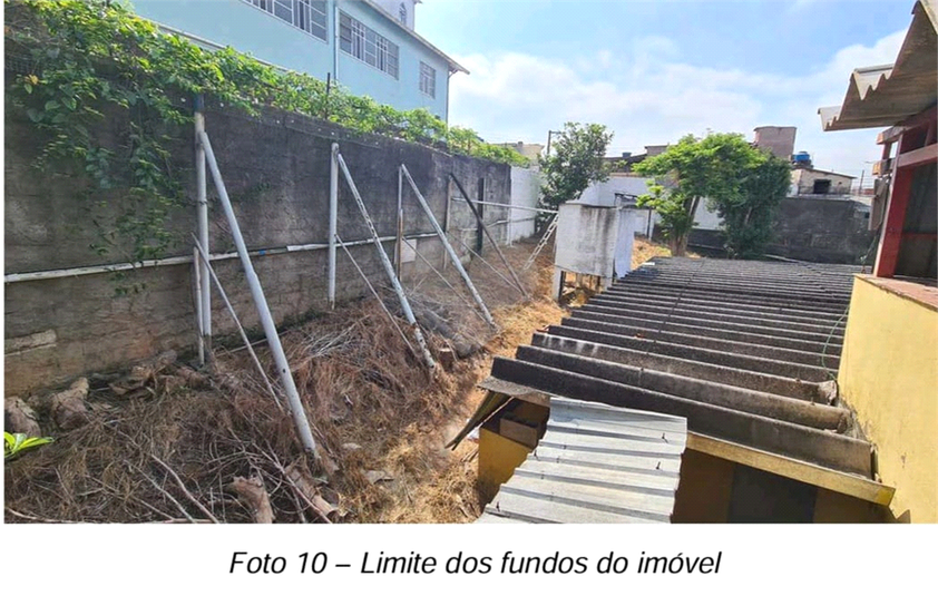 Foto REO914259
