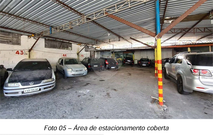 Foto REO914259