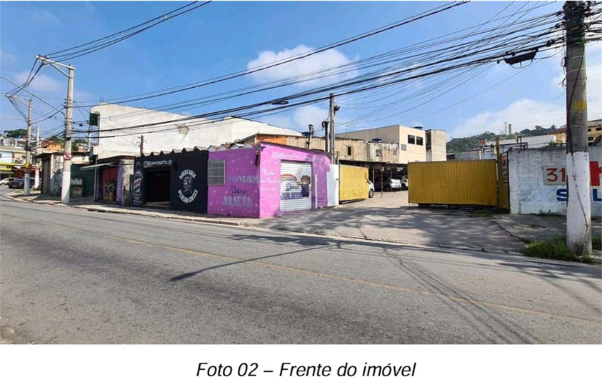 Foto REO914259