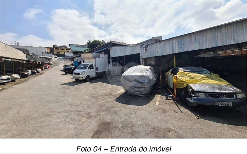 Foto REO914259