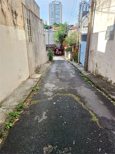Foto REO914330