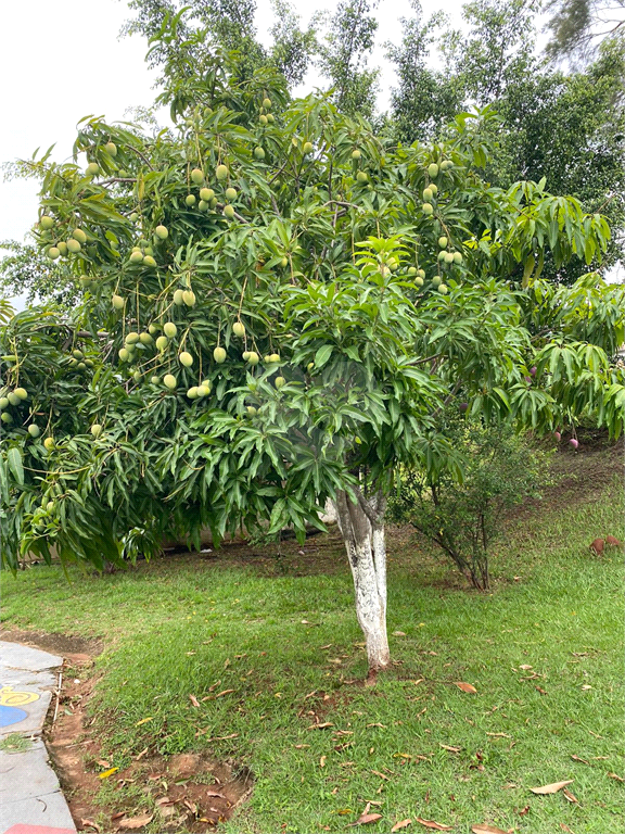 Venda Condomínio Itu Bairro Campos De Santo Antônio REO914624 23