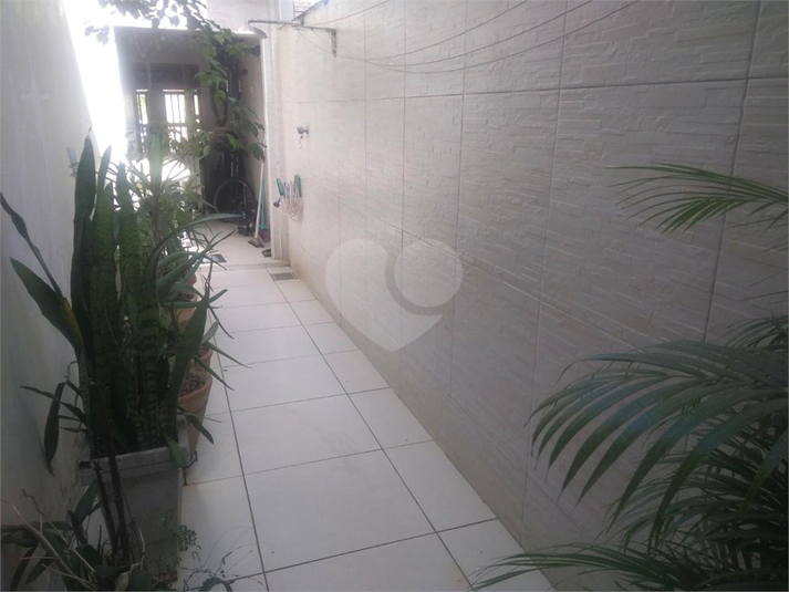 Foto REO914969