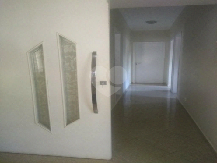 Foto REO914969