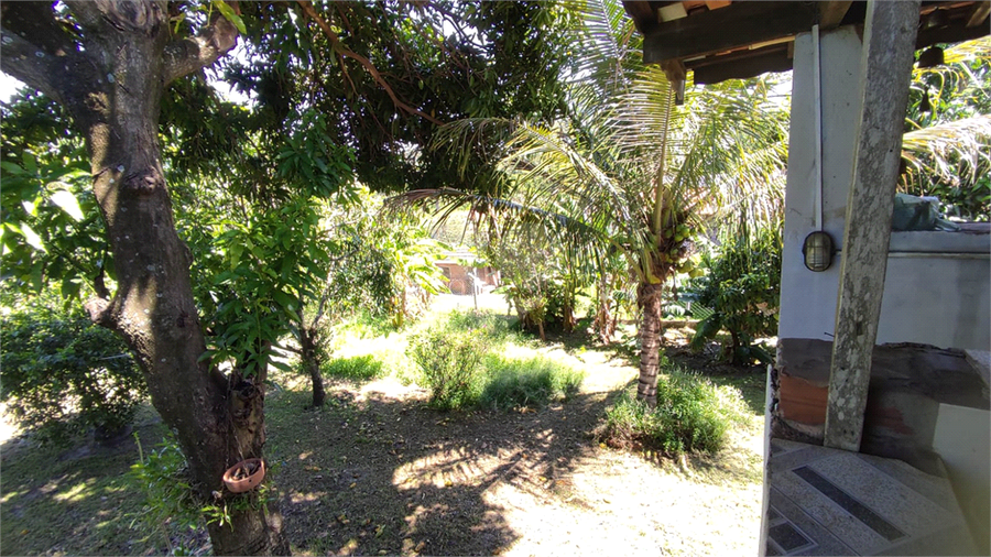 Foto REO915423