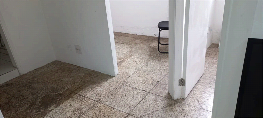 Foto REO915429