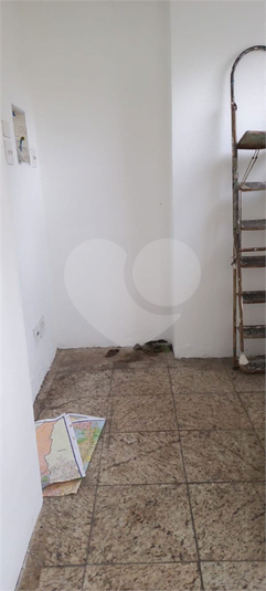 Foto REO915429