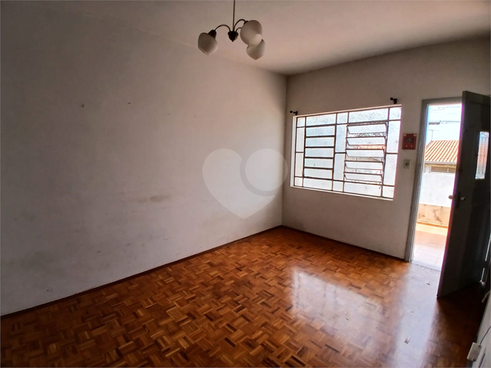 Foto REO915447