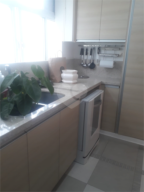 Aluguel Apartamento São Paulo Indianópolis REO915475 7