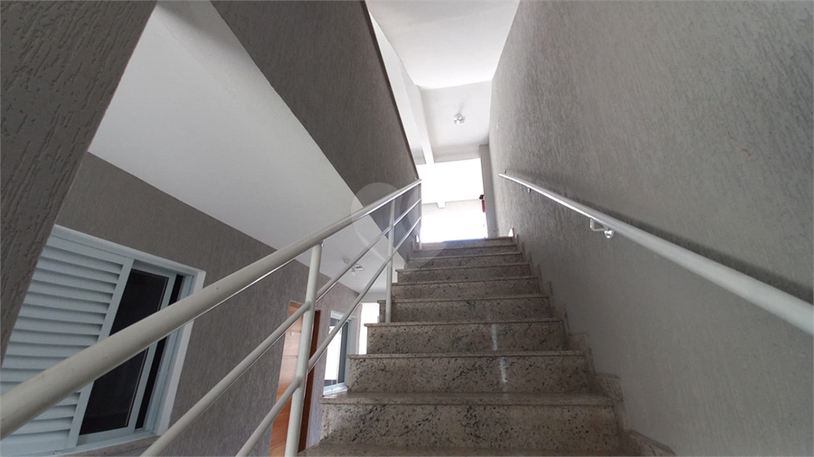 Foto REO915607