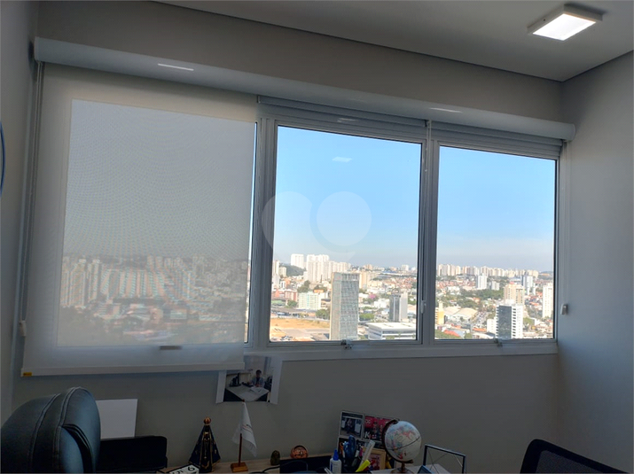 Foto REO915658